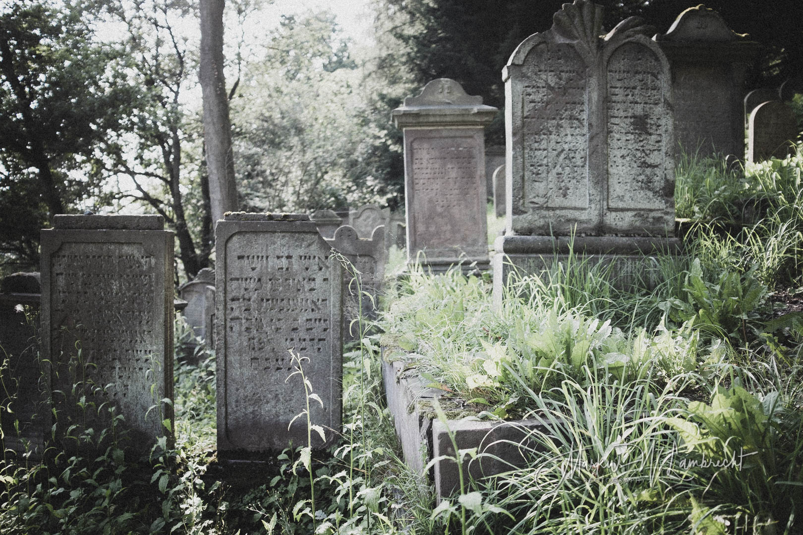 Adelebsen, Jüdischer Friedhof